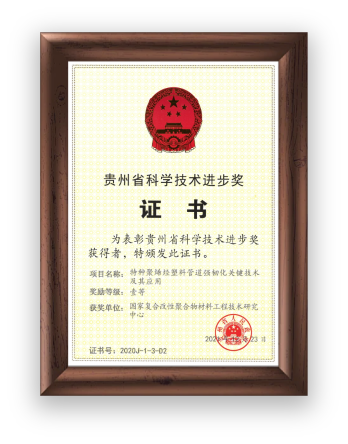 贵州省科学进步奖证书