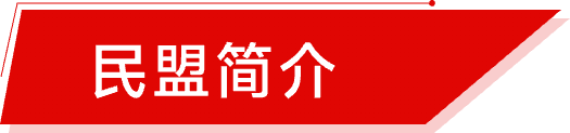 贵州民盟-民盟简介
